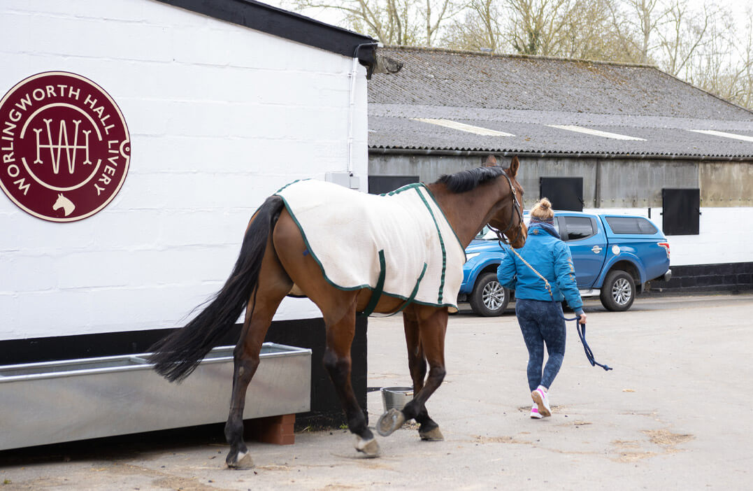 livery yard Suffolk